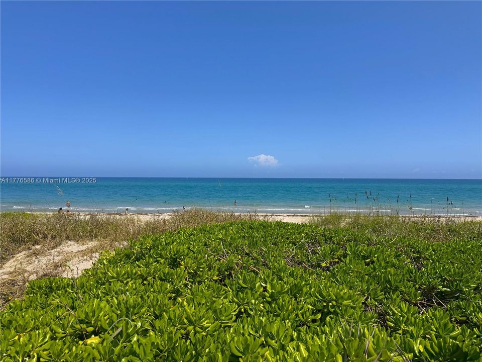 待售: $299,000 (2 贝兹, 2 浴室, 1095 平方英尺)