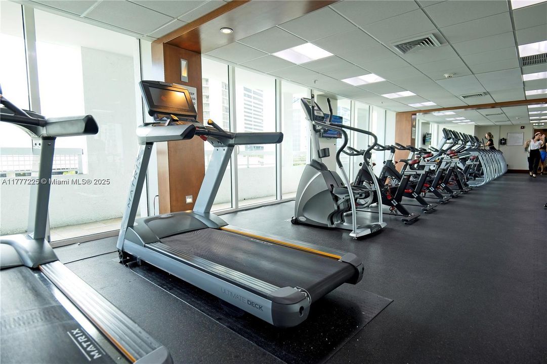 Недавно арендовано: $3,000 (1 спален, 1 ванн, 775 Квадратных фут)