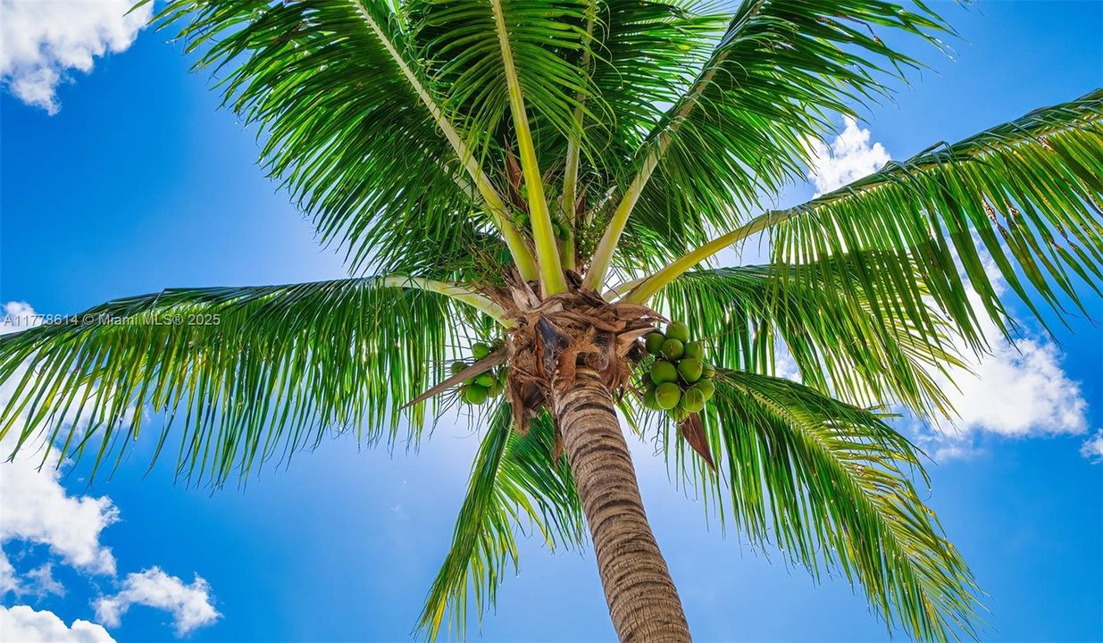 最近租的: $2,809 (3 贝兹, 2 浴室, 1182 平方英尺)