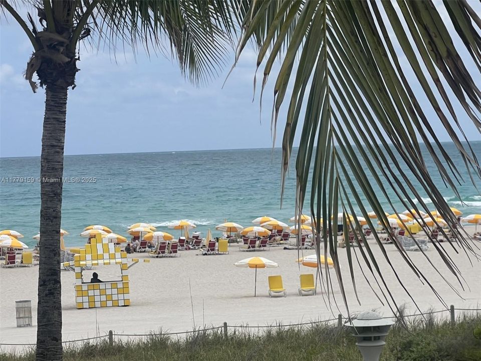 待售: $490,000 (0 贝兹, 1 浴室, 550 平方英尺)