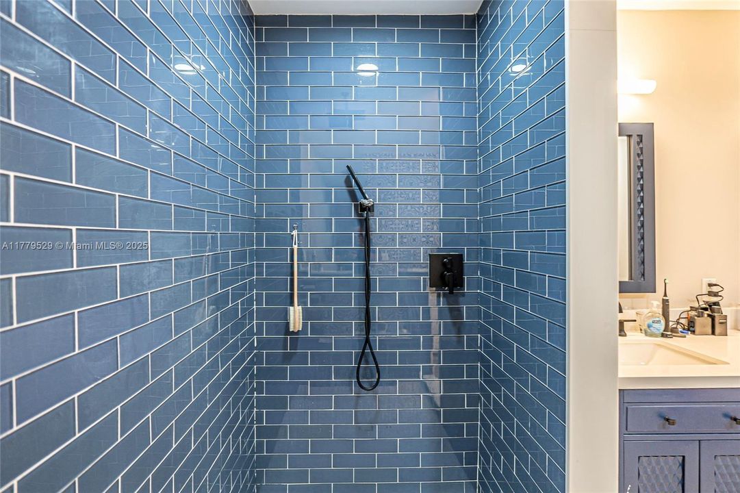 Master Bathroom Shower