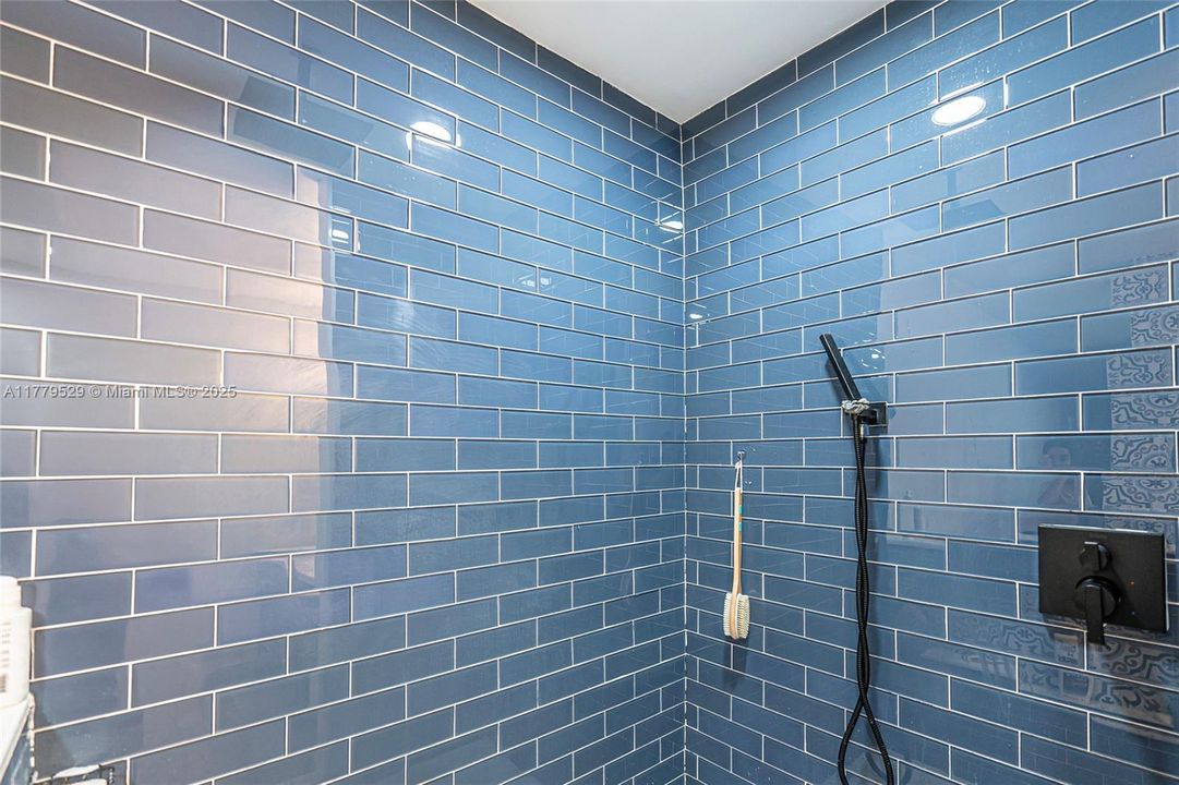 Master Bathroom Shower