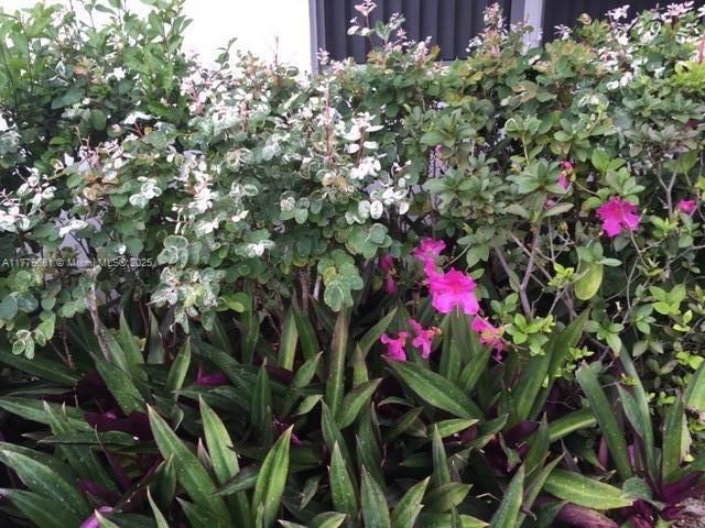 Недавно арендовано: $1,500 (1 спален, 1 ванн, 570 Квадратных фут)