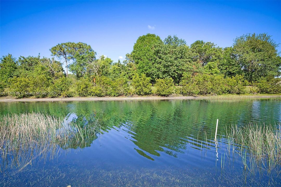 Beautiful Back Yard View