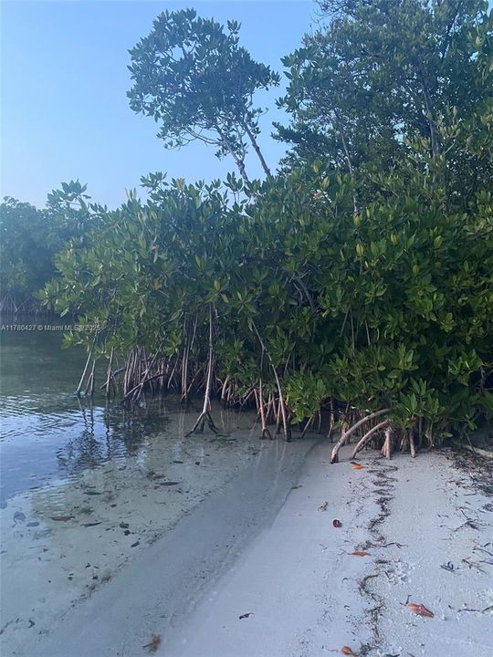 最近售出: $850,000 (3 贝兹, 3 浴室, 0 平方英尺)