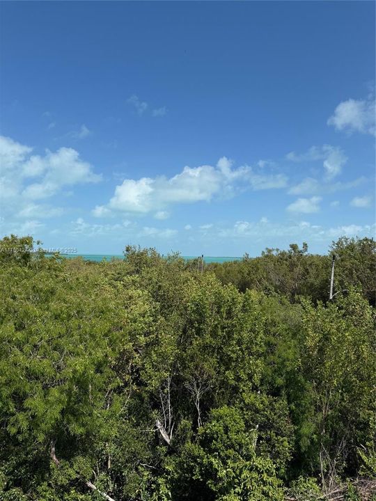 最近售出: $850,000 (3 贝兹, 3 浴室, 0 平方英尺)