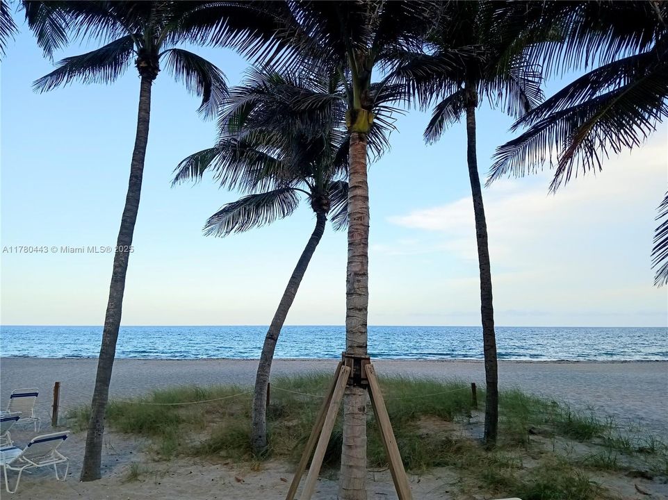 合同活跃: $2,650 (2 贝兹, 2 浴室, 1400 平方英尺)