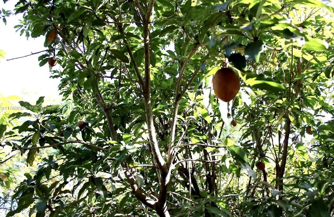 待售: $1,499,999 (6 贝兹, 4 浴室, 5659 平方英尺)