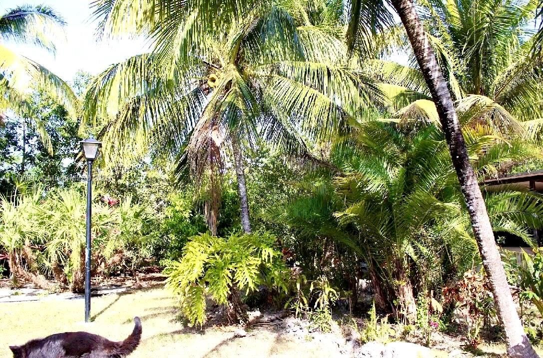 待售: $1,499,999 (6 贝兹, 4 浴室, 5659 平方英尺)