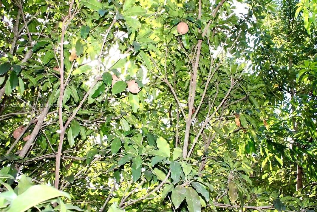 待售: $1,499,999 (6 贝兹, 4 浴室, 5659 平方英尺)