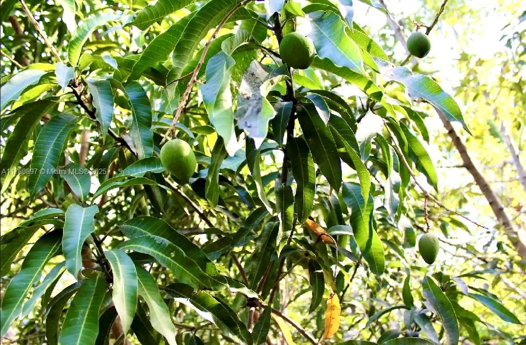 待售: $1,499,999 (6 贝兹, 4 浴室, 5659 平方英尺)