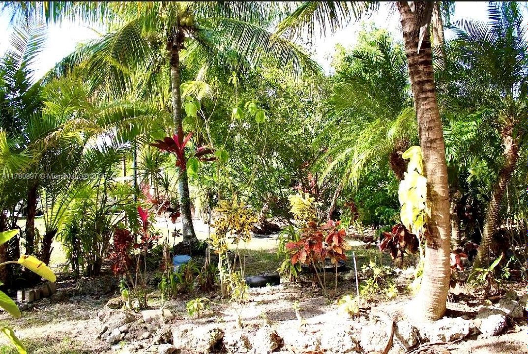 待售: $1,499,999 (6 贝兹, 4 浴室, 5659 平方英尺)