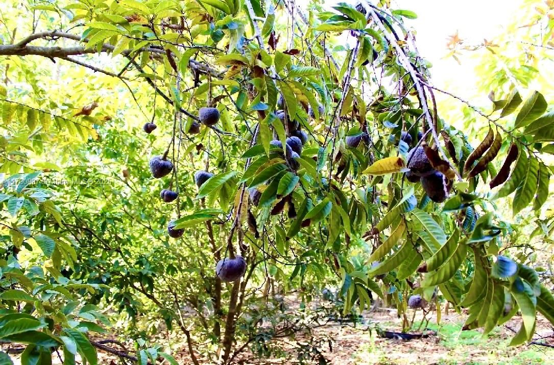 待售: $1,499,999 (6 贝兹, 4 浴室, 5659 平方英尺)