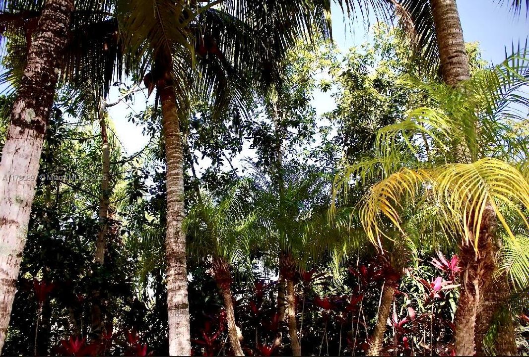 待售: $1,499,999 (6 贝兹, 4 浴室, 5659 平方英尺)