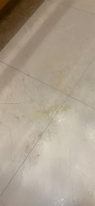 待售: $485,000 (1 贝兹, 1 浴室, 791 平方英尺)