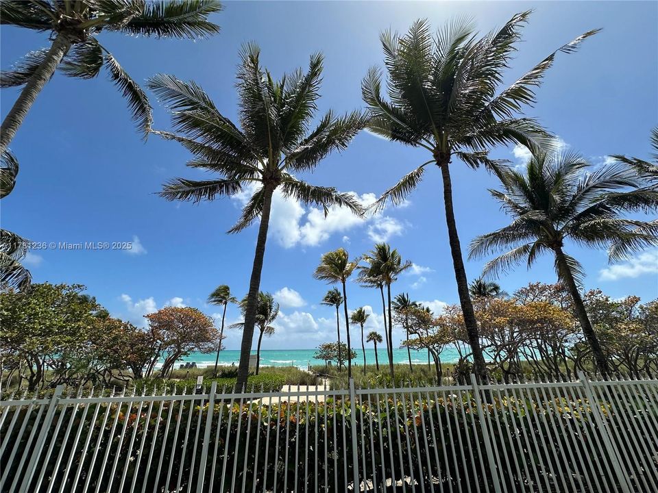 Vendido Recientemente: $460,000 (0 camas, 1 baños, 578 Pies cuadrados)