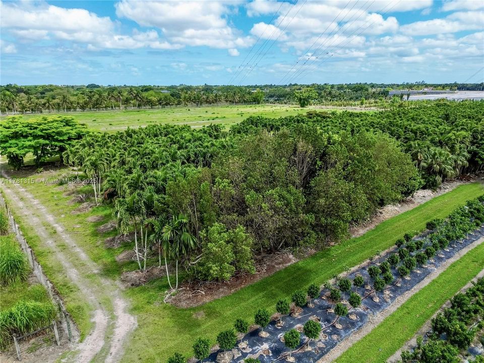 Active With Contract: $1,299,999 (0 beds, 0 baths, 0 Square Feet)