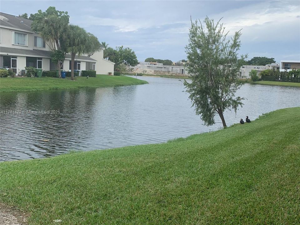 Recently Rented: $2,400 (2 beds, 2 baths, 1220 Square Feet)