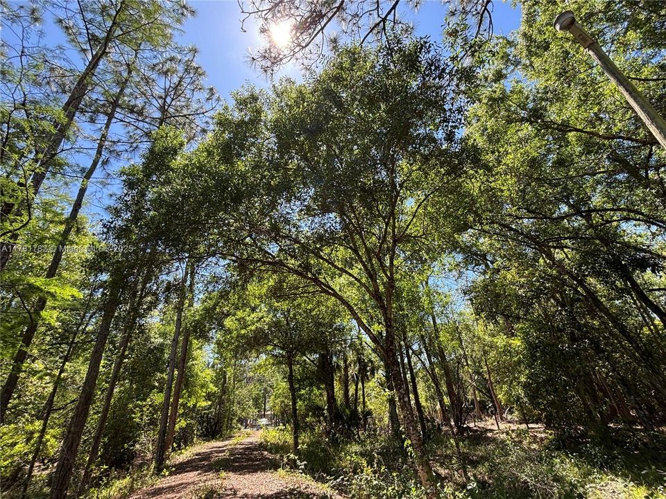 Vendido Recientemente: $395,000 (10.42 acres)