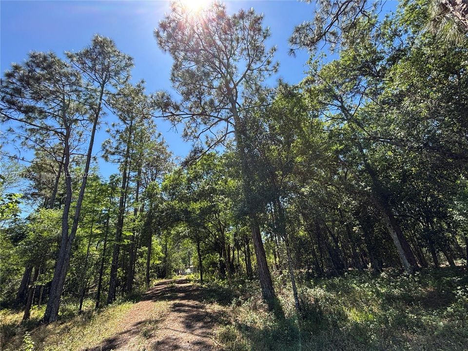 Vendido Recientemente: $395,000 (10.42 acres)