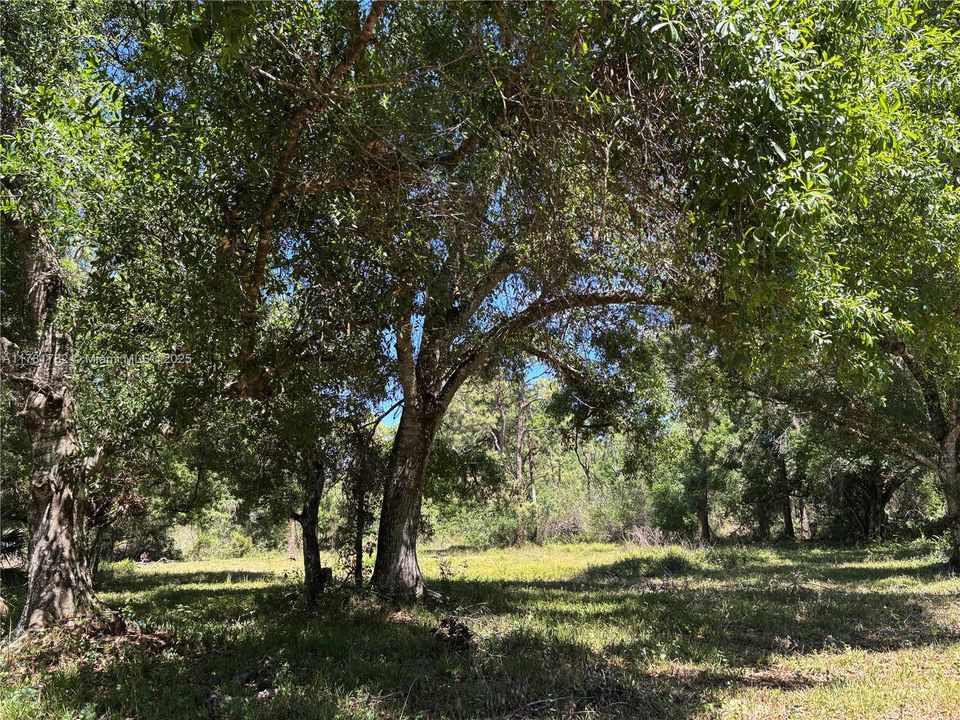 Vendido Recientemente: $395,000 (10.42 acres)