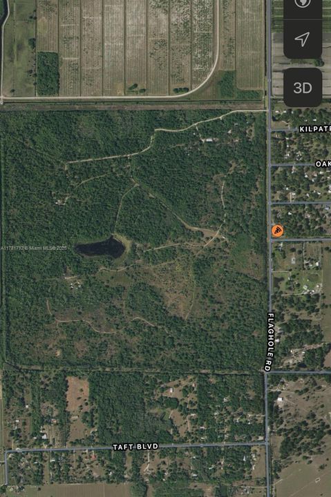 Backyard view of woods