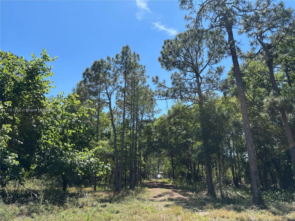 Vendido Recientemente: $395,000 (10.42 acres)