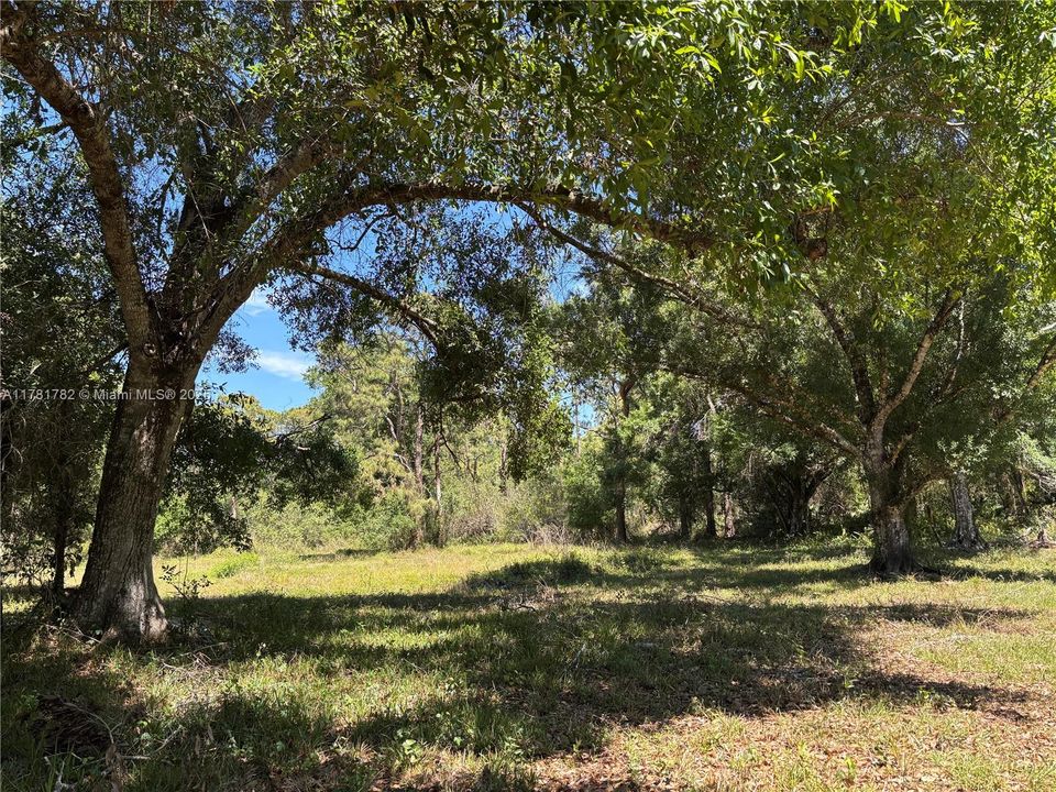 Vendido Recientemente: $395,000 (10.42 acres)