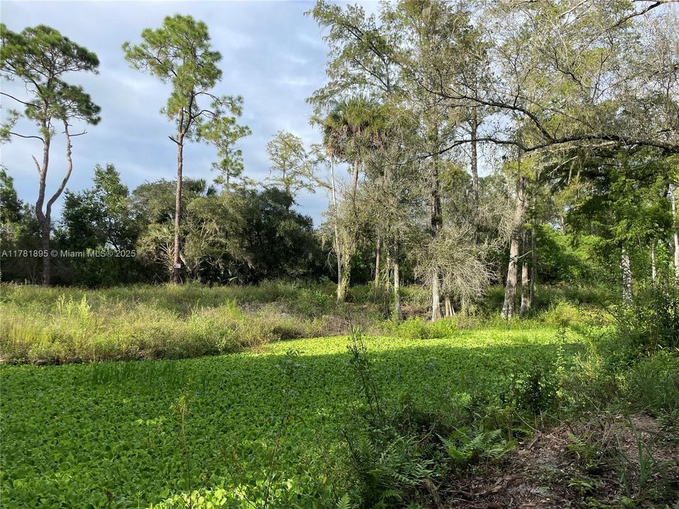 最近售出: $255,000 (7.79 acres)