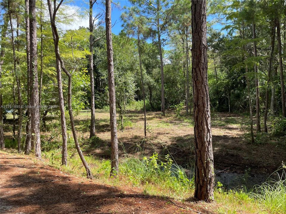 最近售出: $255,000 (7.79 acres)