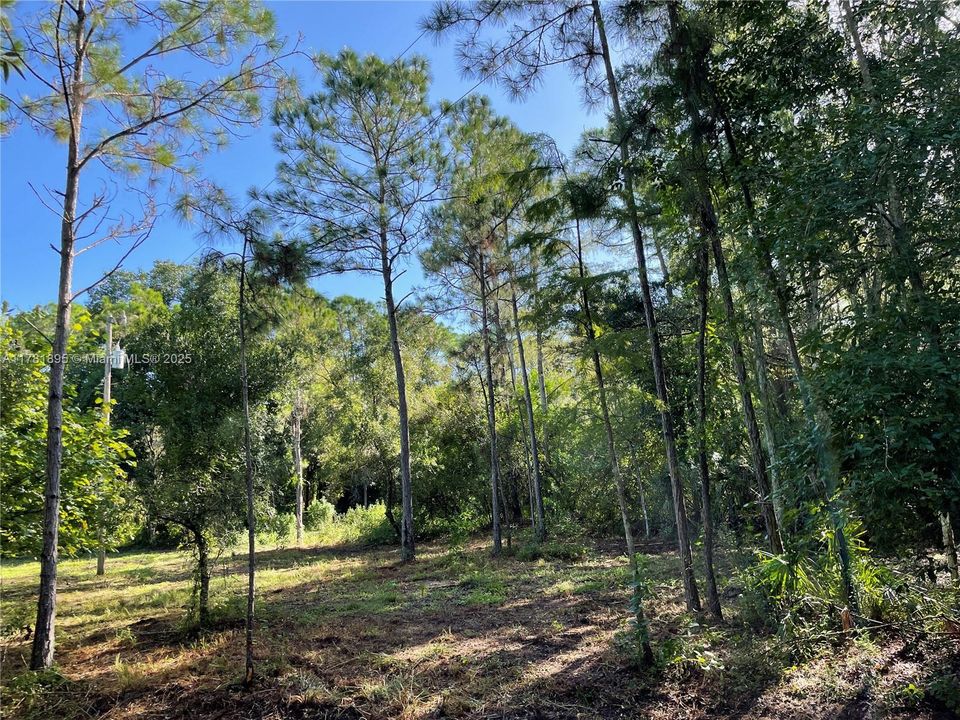 最近售出: $255,000 (7.79 acres)