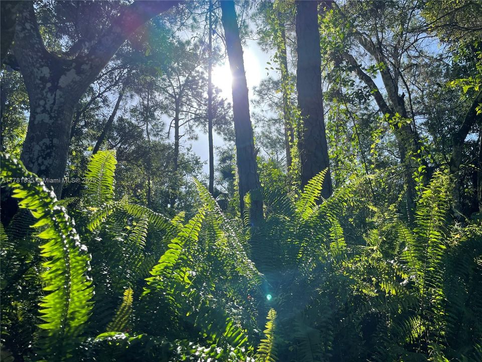 最近售出: $255,000 (7.79 acres)