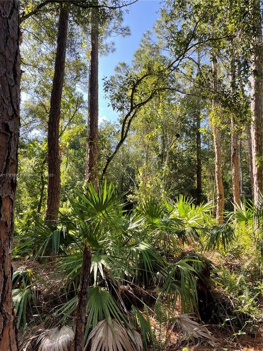 最近售出: $255,000 (7.79 acres)