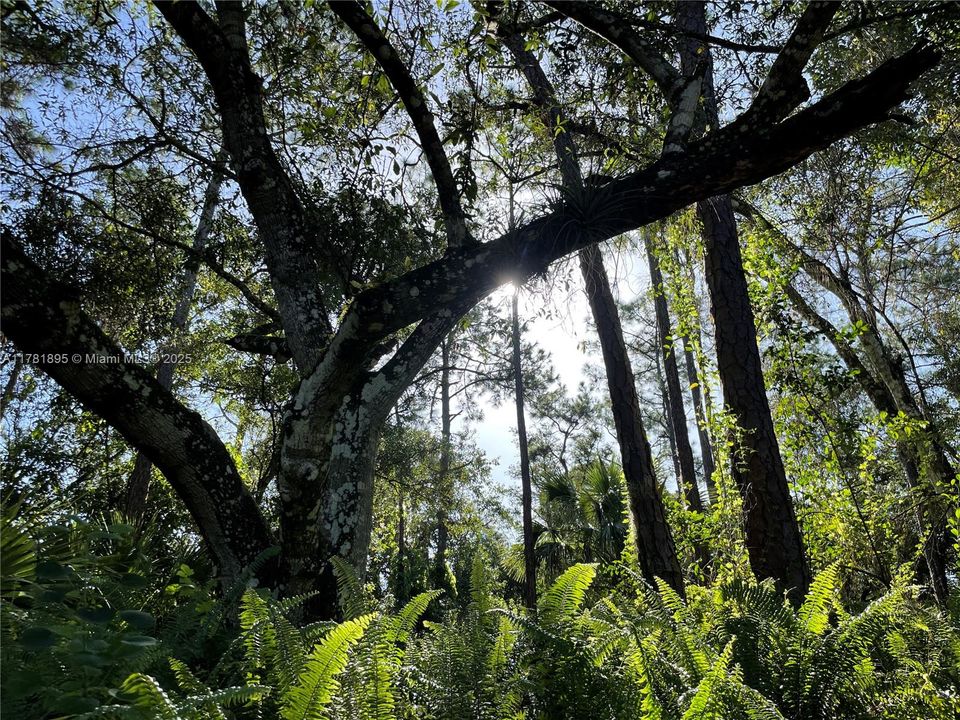 最近售出: $255,000 (7.79 acres)