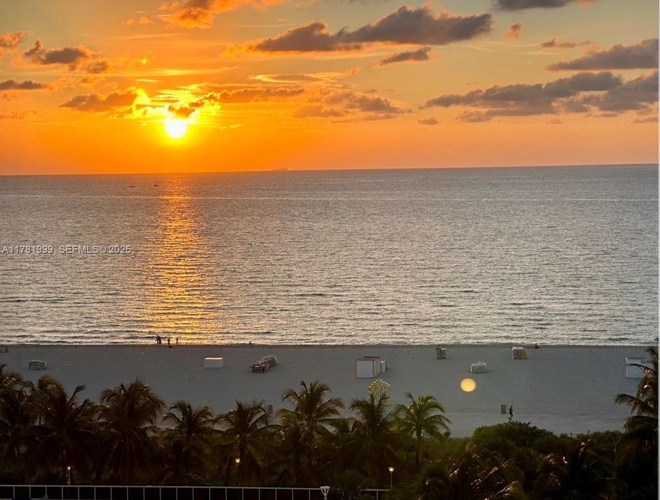 For Rent: $3,500 (0 beds, 1 baths, 535 Square Feet)