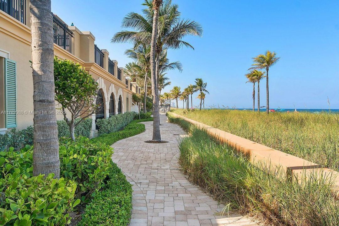 path behind building