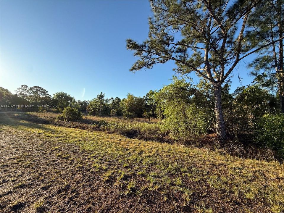 Recently Sold: $52,500 (1.40 acres)