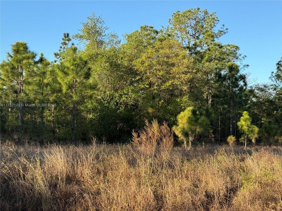 Recently Sold: $52,500 (1.40 acres)