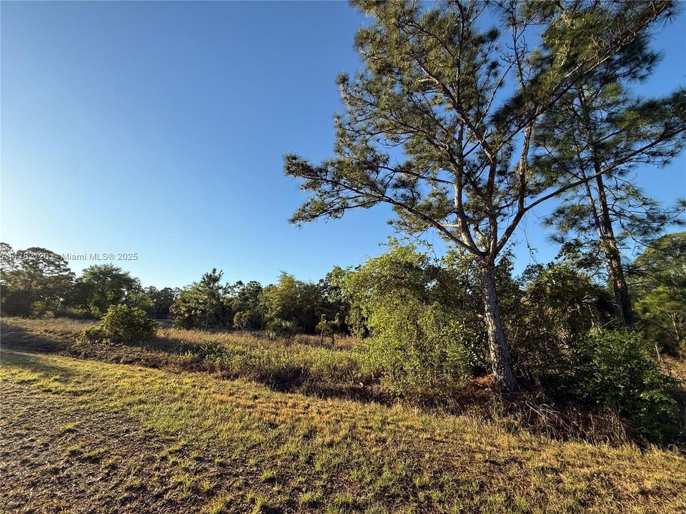 Recently Sold: $52,500 (1.40 acres)