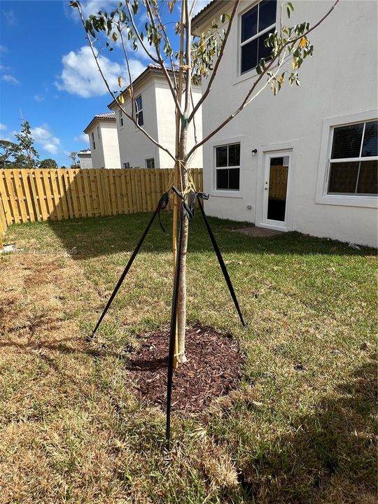 最近租的: $3,800 (4 贝兹, 2 浴室, 1983 平方英尺)