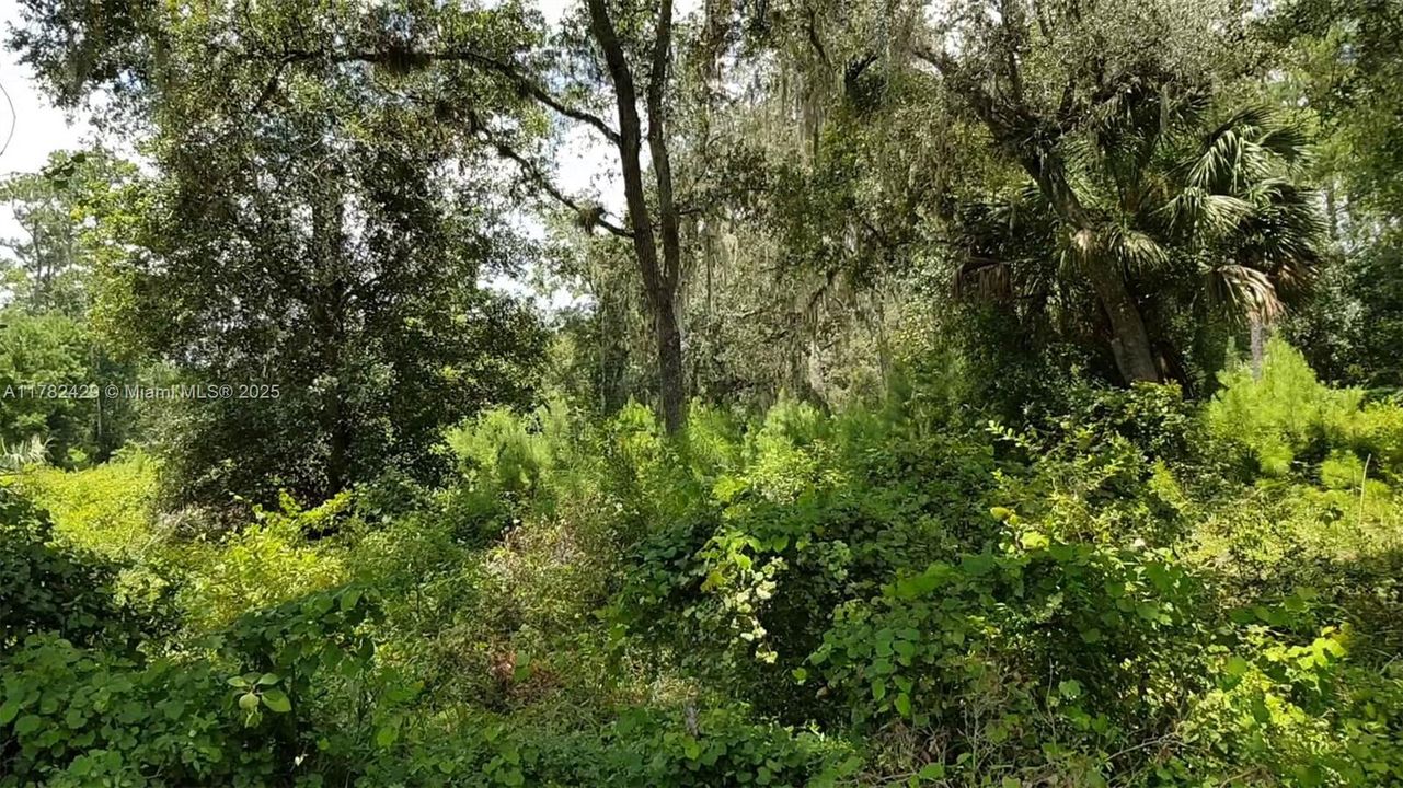 For Sale: $800,000 (0 beds, 0 baths, 0 Square Feet)