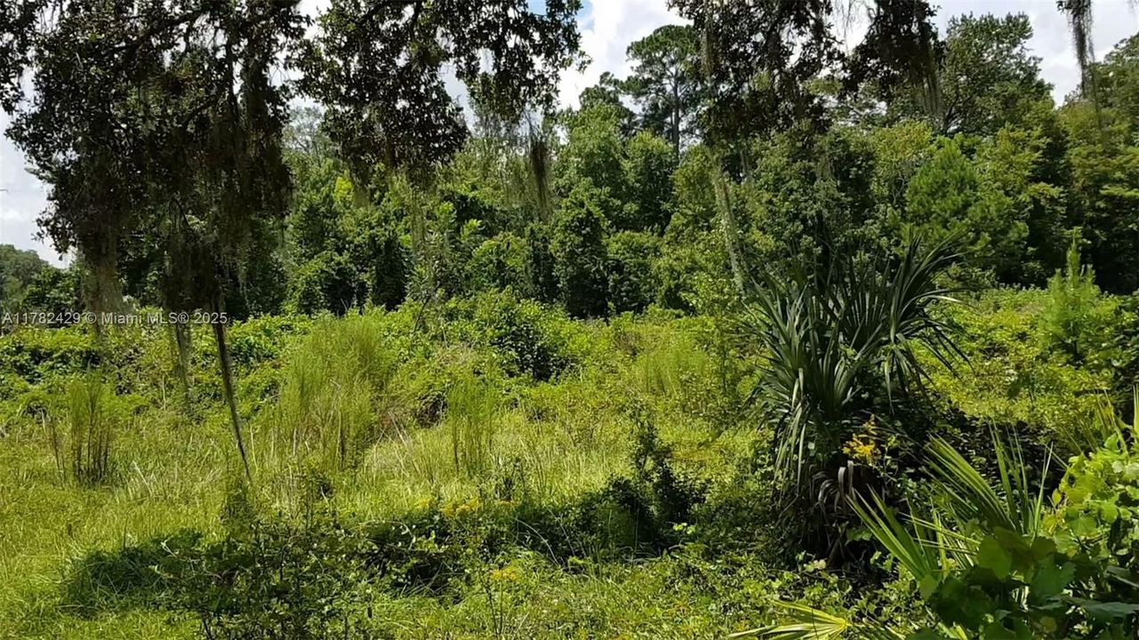 For Sale: $800,000 (0 beds, 0 baths, 0 Square Feet)