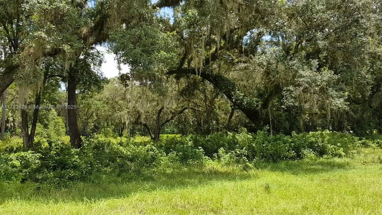 For Sale: $800,000 (0 beds, 0 baths, 0 Square Feet)