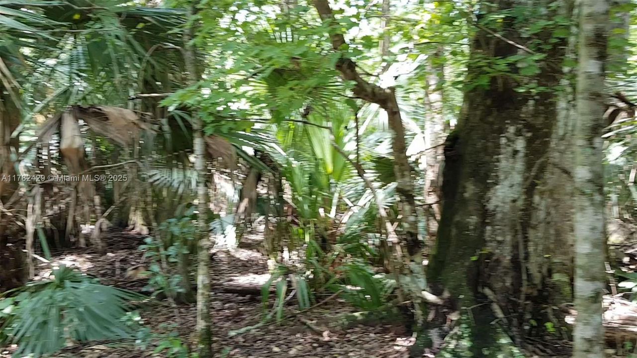 For Sale: $800,000 (0 beds, 0 baths, 0 Square Feet)