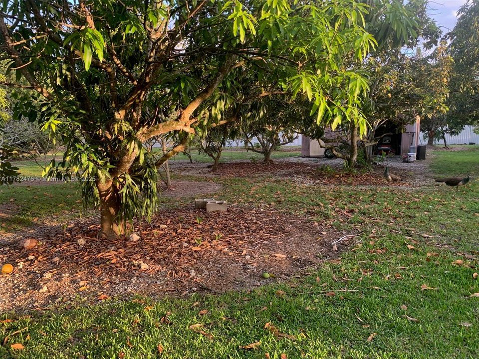 Под контрактом: $1,049,000 (3 спален, 2 ванн, 2459 Квадратных фут)