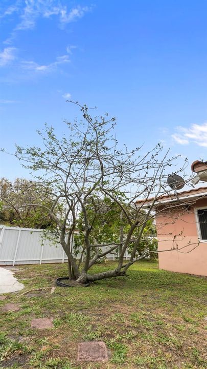 Recently Sold: $550,000 (3 beds, 2 baths, 1114 Square Feet)