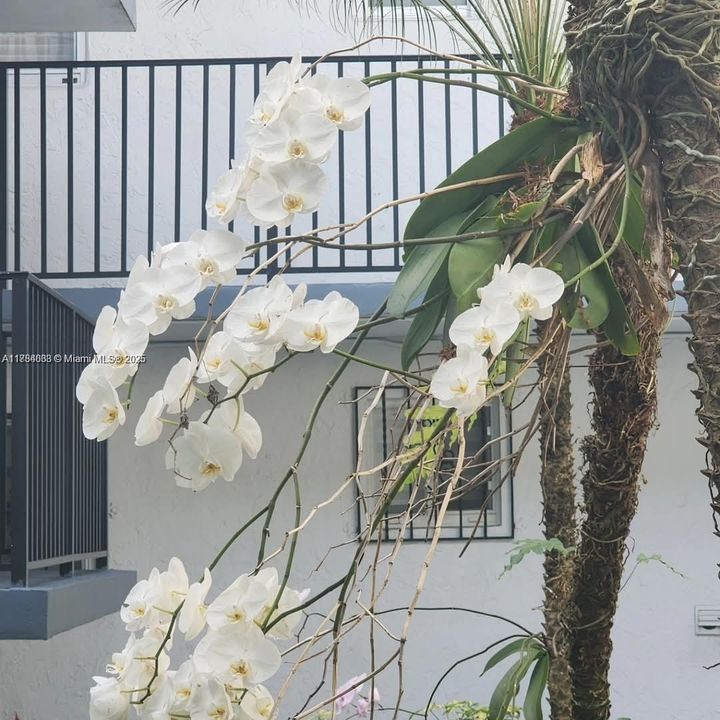 Recently Rented: $2,075 (2 beds, 1 baths, 866 Square Feet)