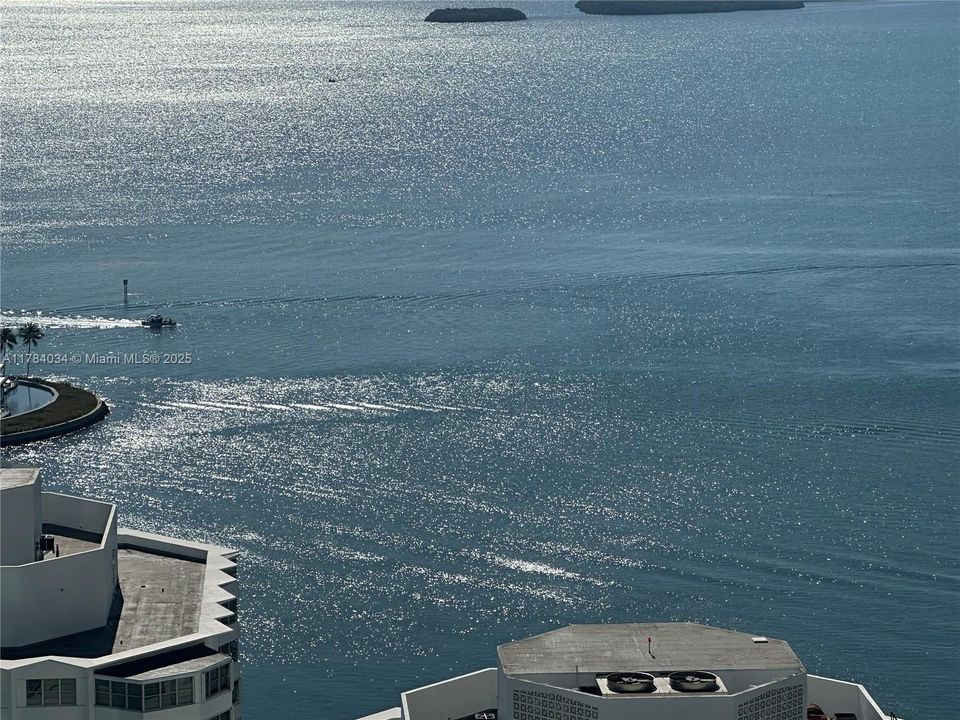 最近租的: $3,400 (1 贝兹, 1 浴室, 702 平方英尺)