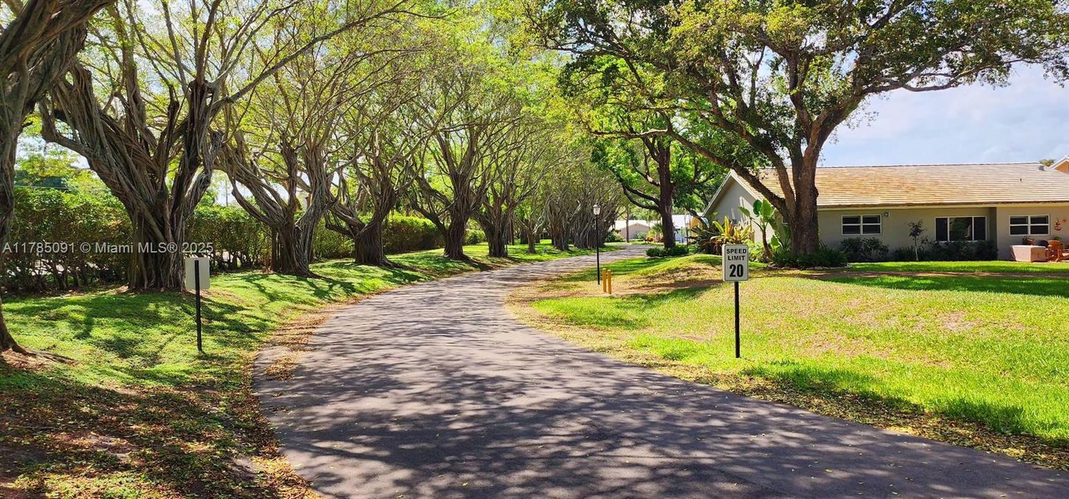 Под контрактом: $499,000 (3 спален, 2 ванн, 1658 Квадратных фут)