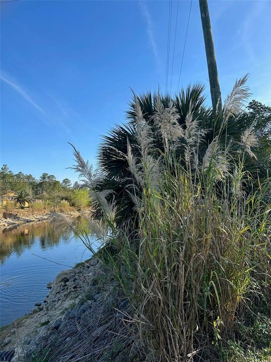 Recently Sold: $249,000 (3.11 acres)